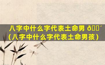 八字中什么字代表土命男 🌴 （八字中什么字代表土命男孩）